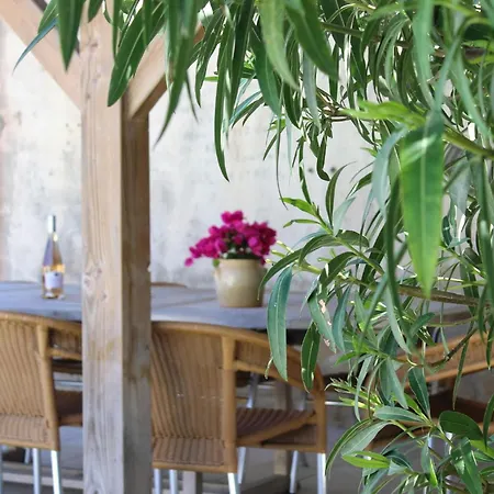 Printemps Villa Olonzac